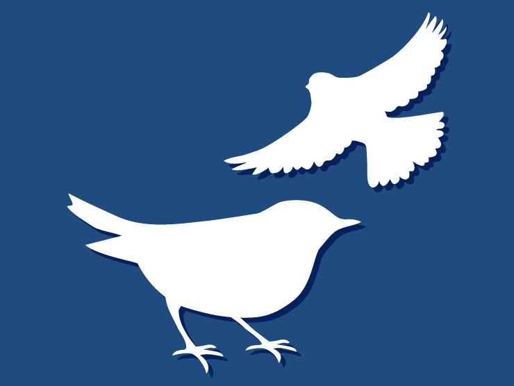 dark blue field with a white silhouette of a bird standing and another white silhouette flying