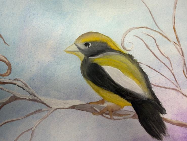 Watercolor Exploration Bird